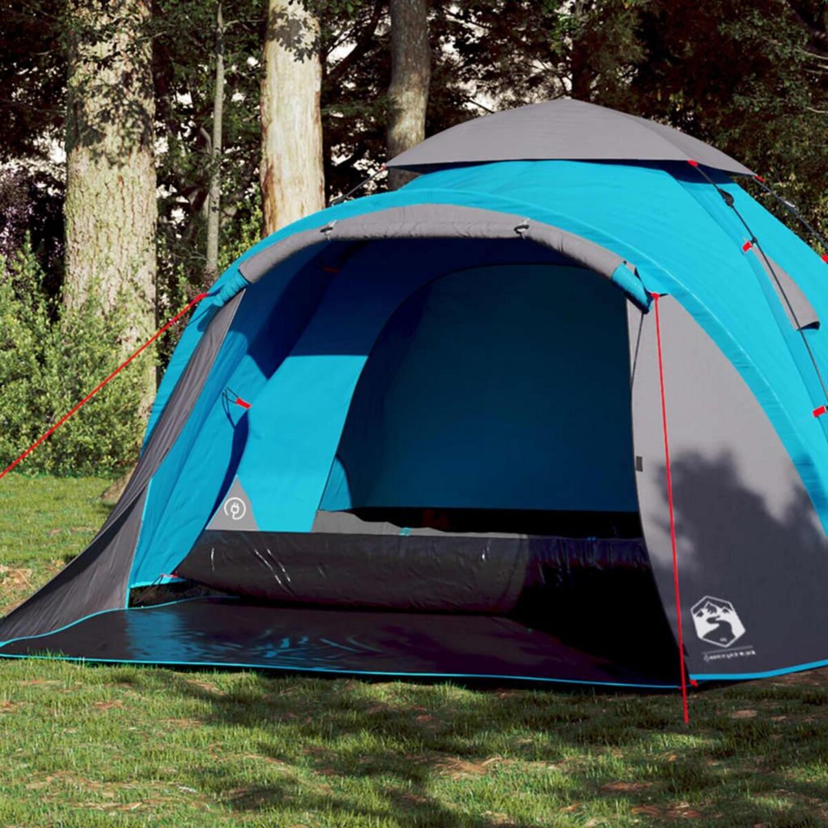 VIDAXL Tente de camping a dome 3 personnes bleu liberation rapide