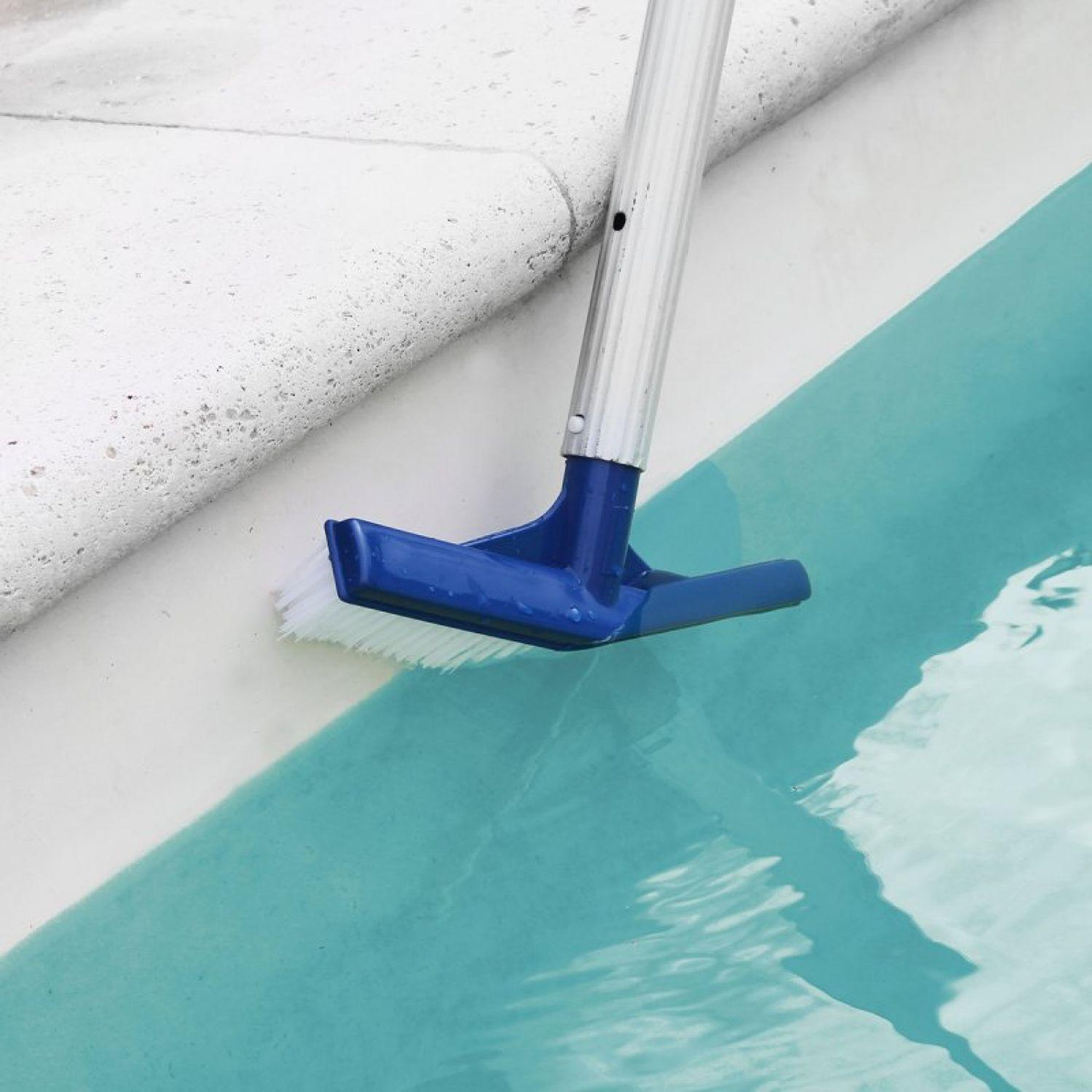 Voir la diapositive 3 : LINXOR Tête de brosse paroi 25 cm bleu pour piscine adaptable sur manche standard ou télescopique