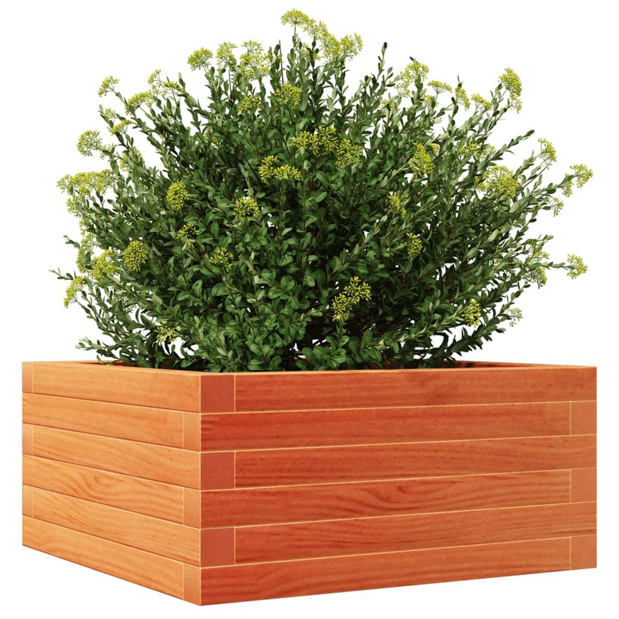 Voir la diapositive 4 : VIDAXL Jardiniere cire marron 50x50x23 cm bois de pin massif