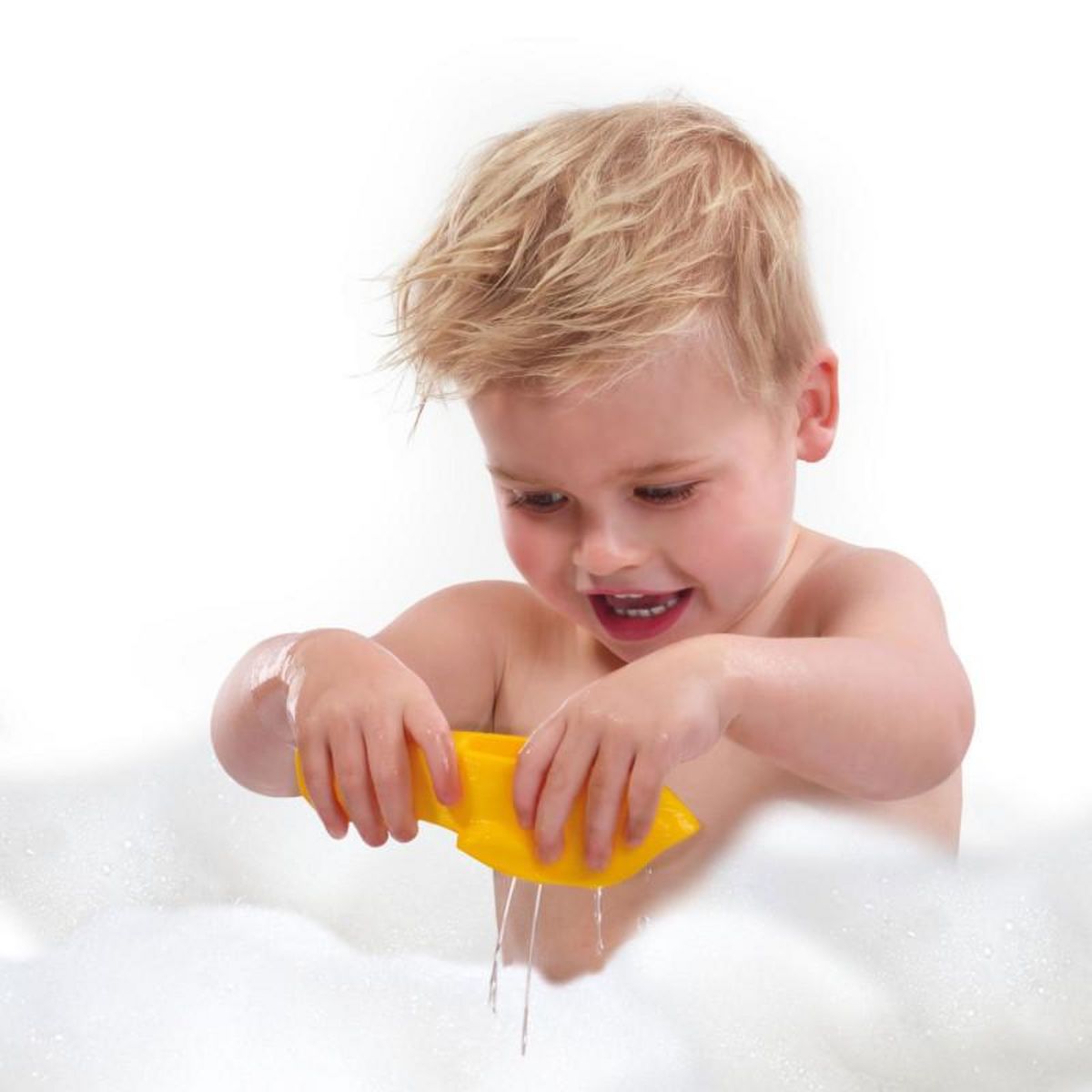 SES SES Poissons en banc