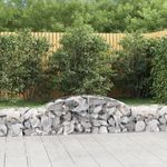 VIDAXL Paniers a gabions arques 10 pcs 300x50x40/60 cm fer galvanise