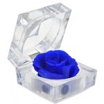 SC CRYSTAL Boite Rose éternelle bleue