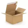 RAJA Carton d'emballage 16 x 12 x 11 cm - Double cannelure