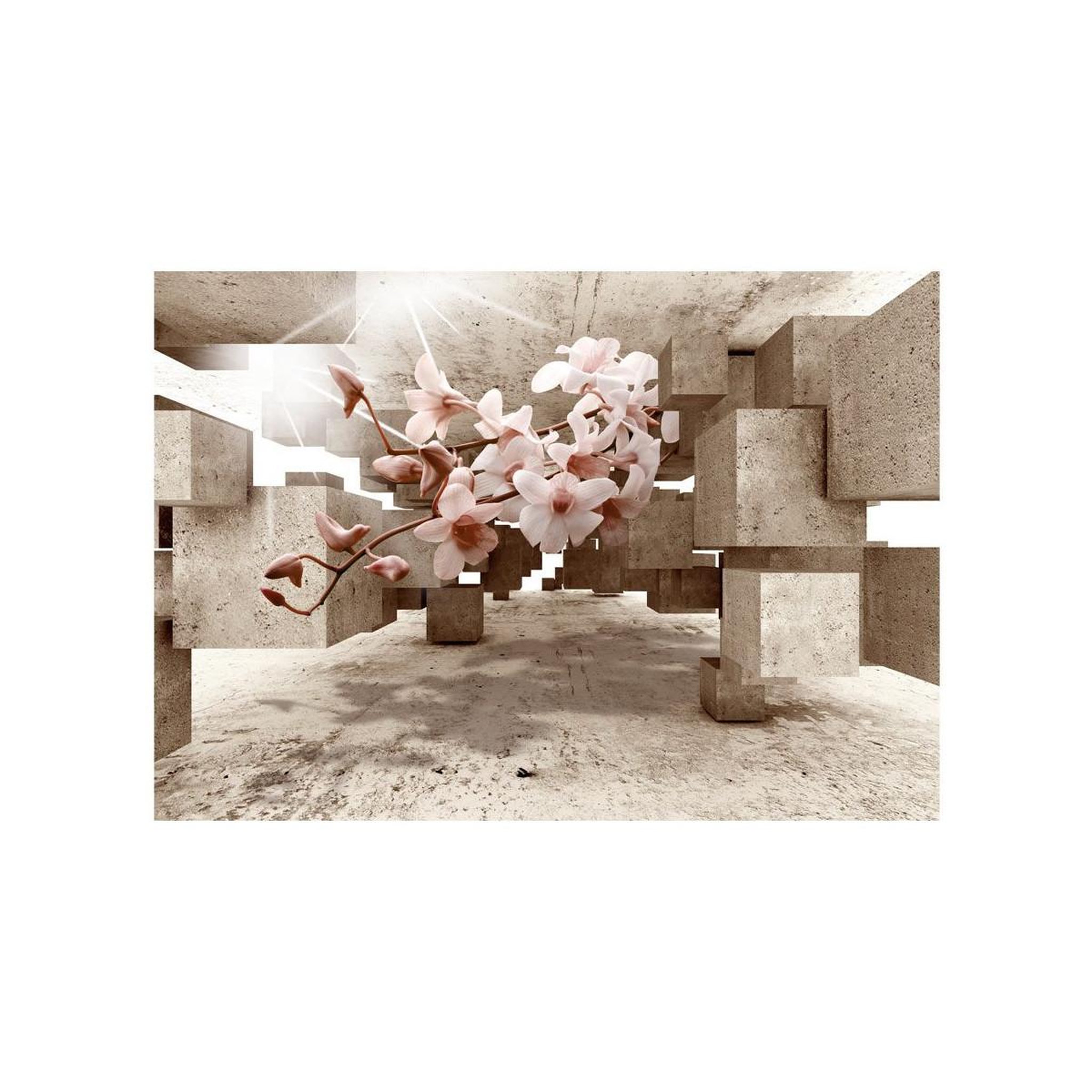Voir la diapositive 2 : Paris Prix Papier Peint  Little Miracles