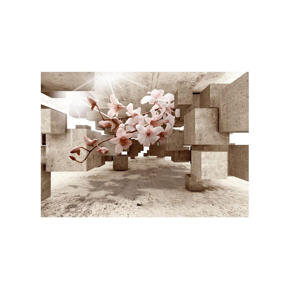 Paris Prix Papier Peint  Little Miracles