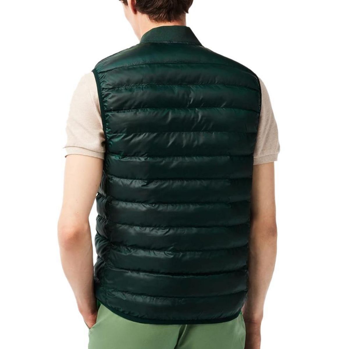 Lacoste Doudoune sans manche  Foncé Homme Lacoste Sinople