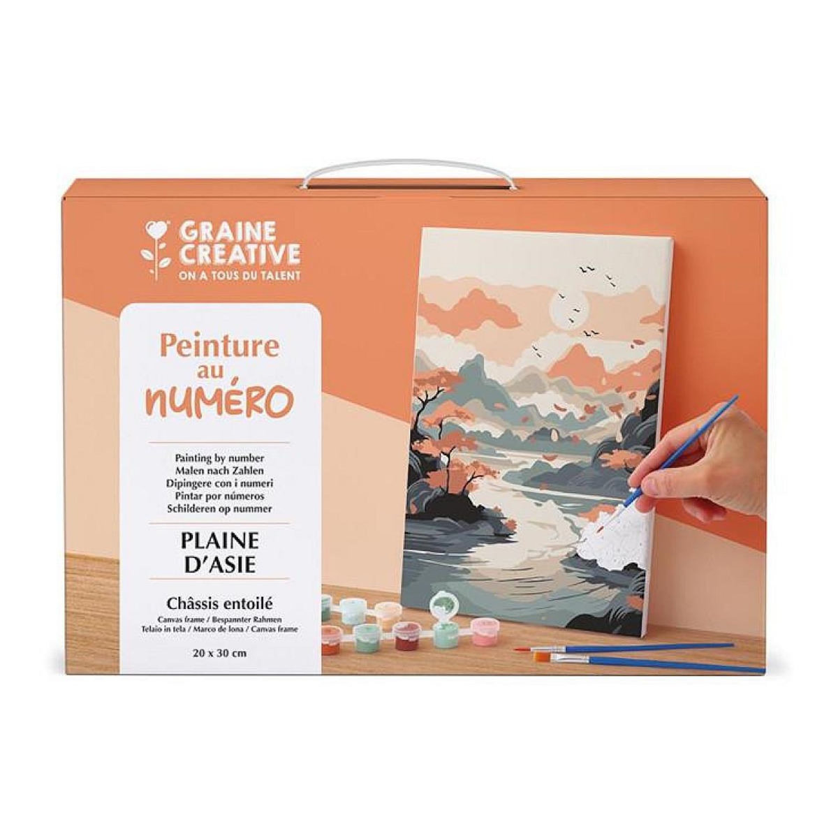Graine créative Peinture au numero 20x30 cm - plaine d'asie