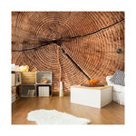 Paris Prix Papier Peint  Coupe D'un Tronc D'arbre. Coloris disponibles : Multicolore