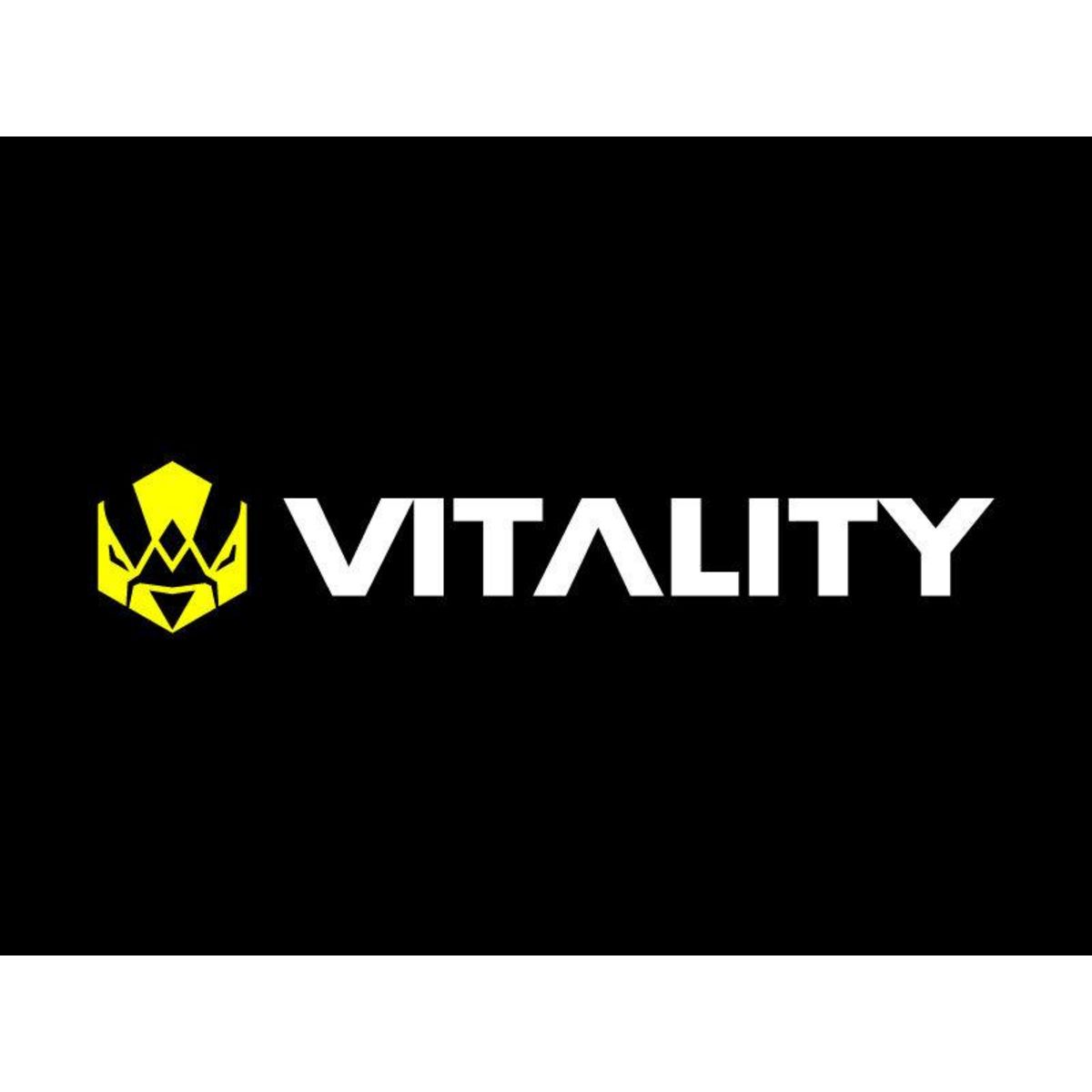 Smartbox Bon cadeau de 29,90 € sur l'e-shop de la Team Vitality et de 20 € sur Valorant - Coffret Cadeau Multi-thèmes