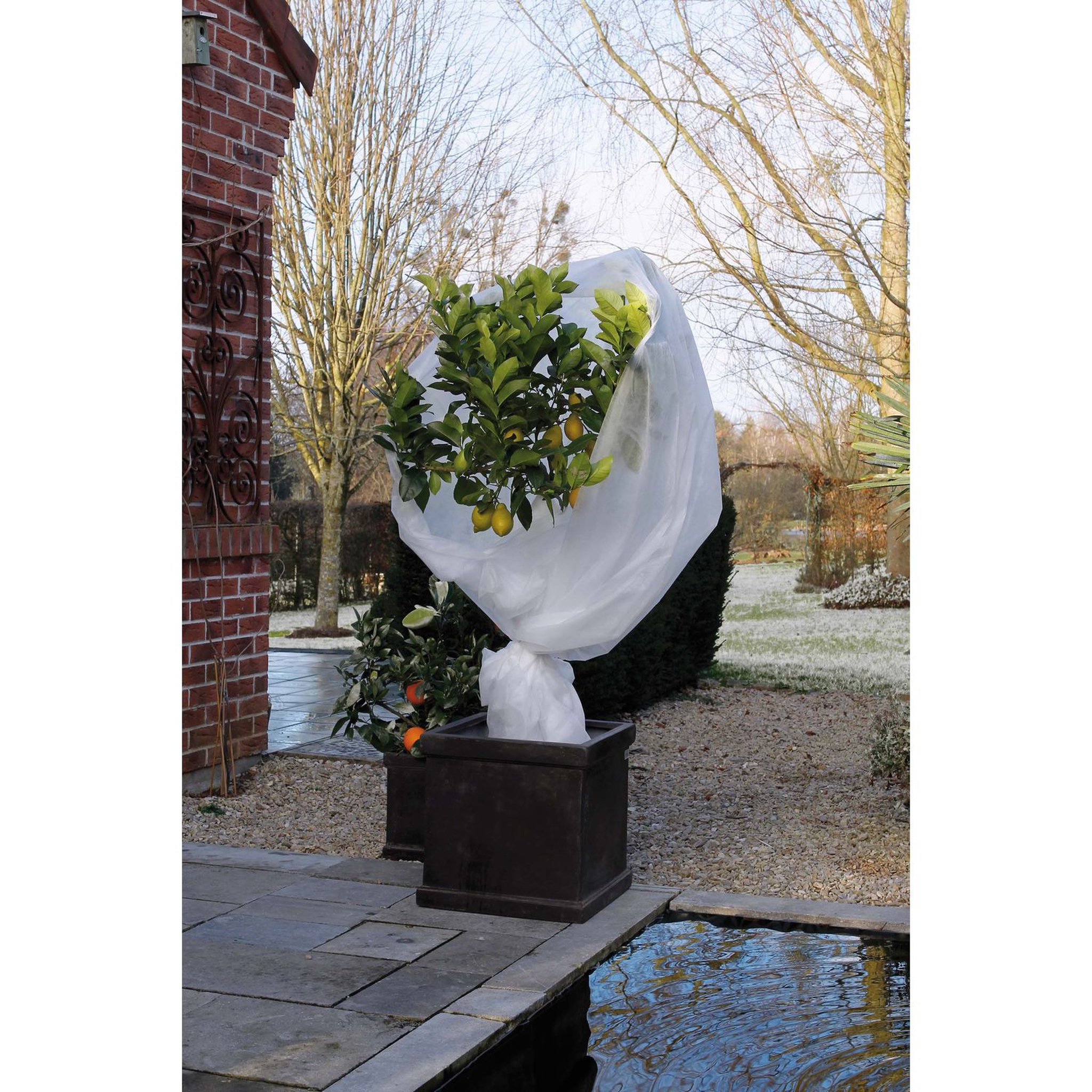 Voir la diapositive 3 : Voile hivernage - Blanc - 2x10m - 30g/m²