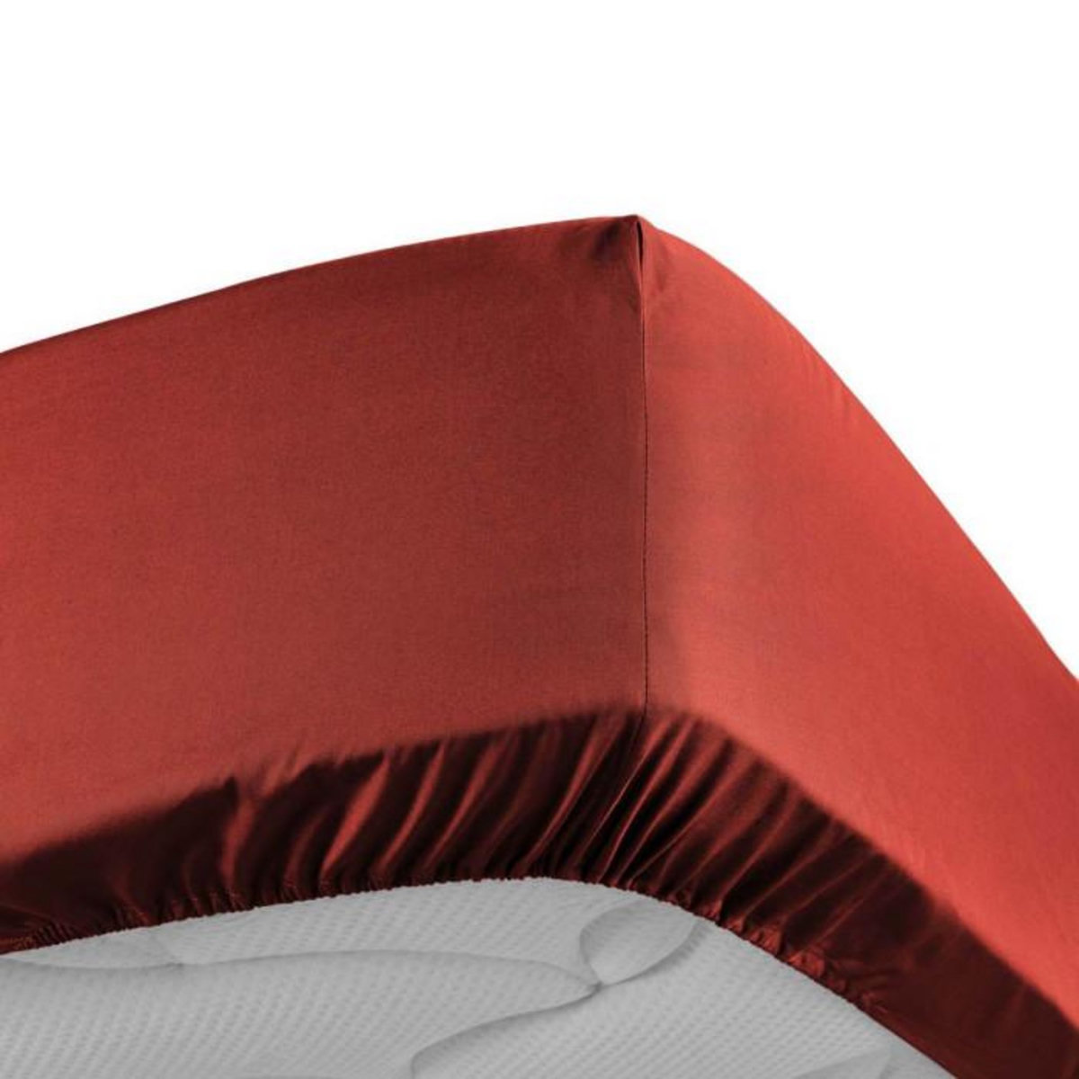 Paris Prix Drap Housse  Percaline  180x200cm Tomette