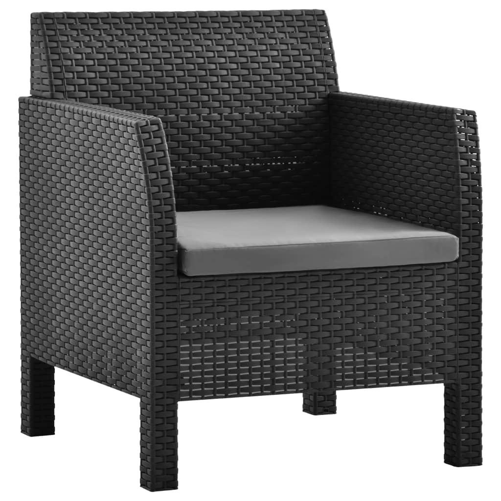 Voir la diapositive 2 : VIDAXL Chaises de jardin avec coussins lot de 2 pp rotin anthracite