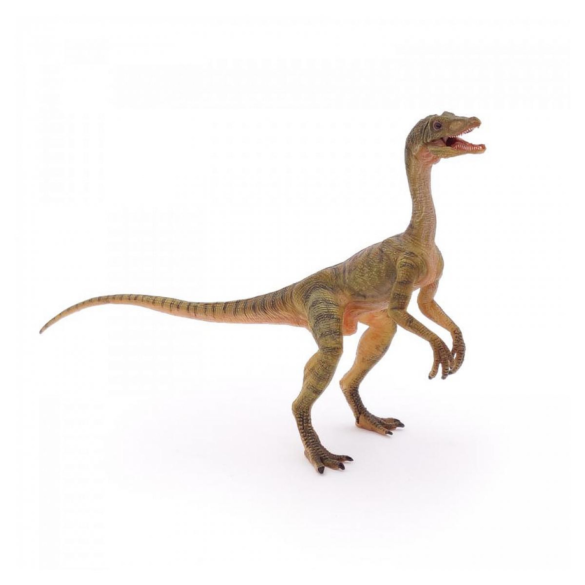 Voir la diapositive 3 : Papo 55072 Figurine Compsognathus