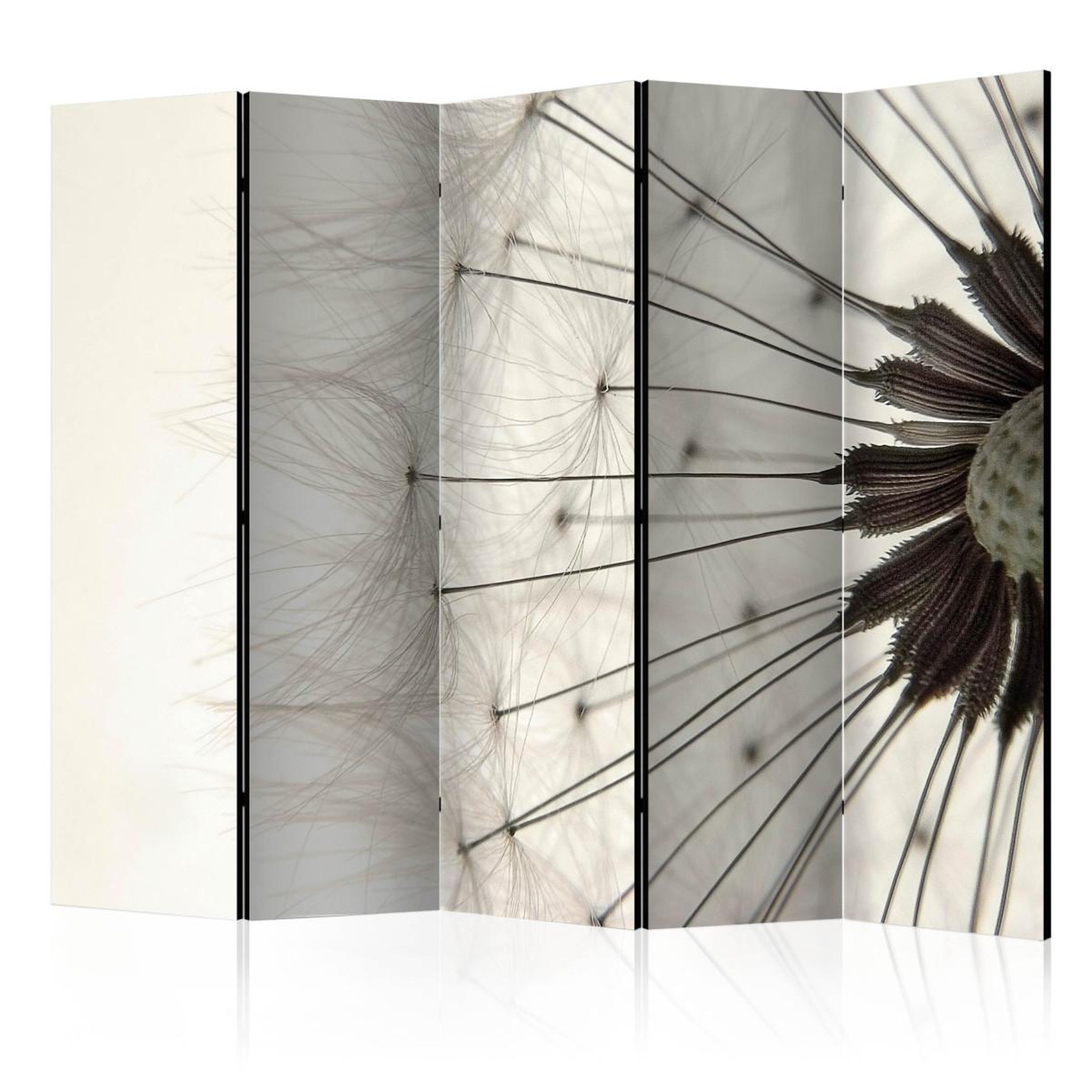 Paris Prix Paravent 5 volets  dandelion seed head  172x225cm