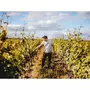 Smartbox Visite et dégustation de vins en duo près de Versailles - Coffret Cadeau Gastronomie