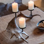 Voir la diapositive 5 : Paris Prix Chandelier Branche en Résine  Antlers  62cm Marron