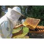Smartbox Participez à la sauvegarde des abeilles avec 1 an de parrainage d'une ruche - Coffret Cadeau Multi-thèmes