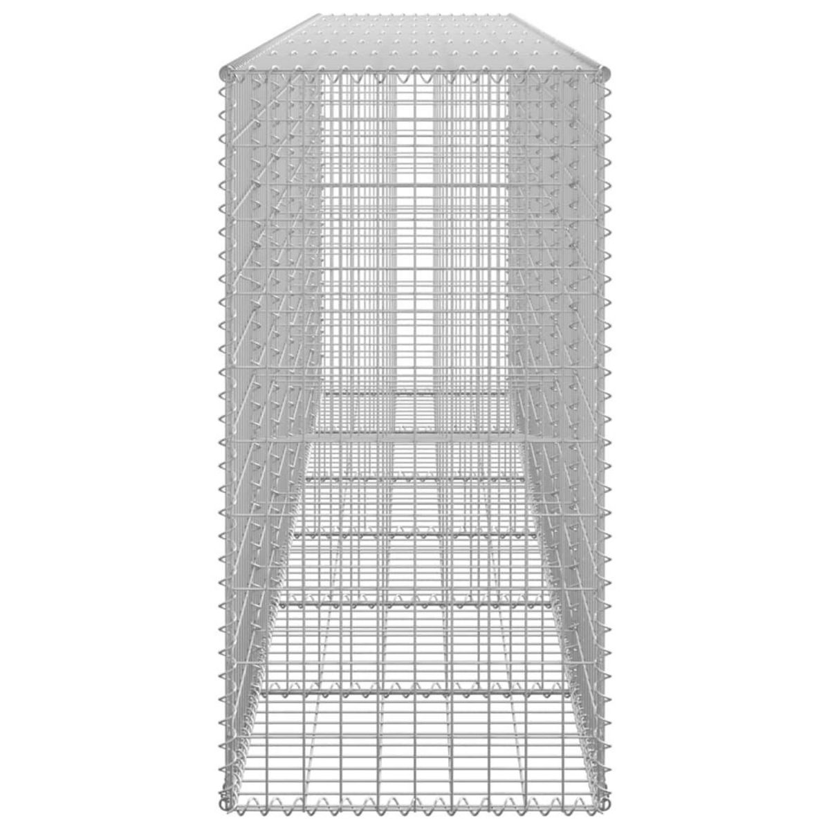 VIDAXL Mur en gabion avec couvercles Acier galvanise 300 x 50 x 100 cm