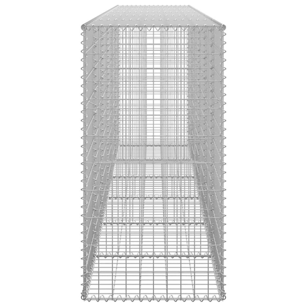 VIDAXL Mur en gabion avec couvercles Acier galvanise 300 x 50 x 100 cm