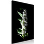 Voir la diapositive 1 : Paris Prix Tableau Imprimé  White Lilacs