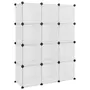 VIDAXL Cubes de rangement 12 pcs avec portes Transparent PP