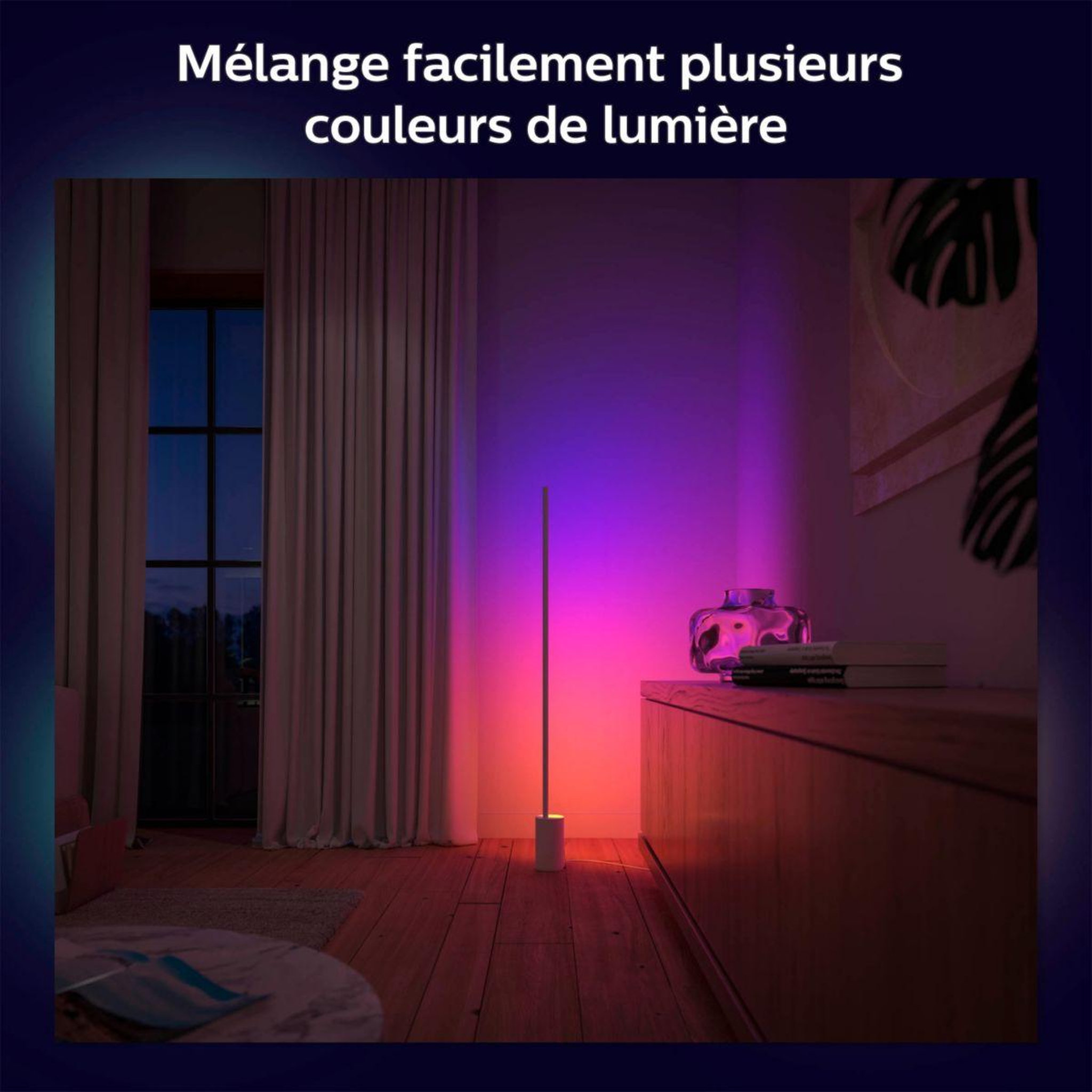 Voir la diapositive 4 : Philips Lampe connectée HUE W&C Gradient Sign blanc