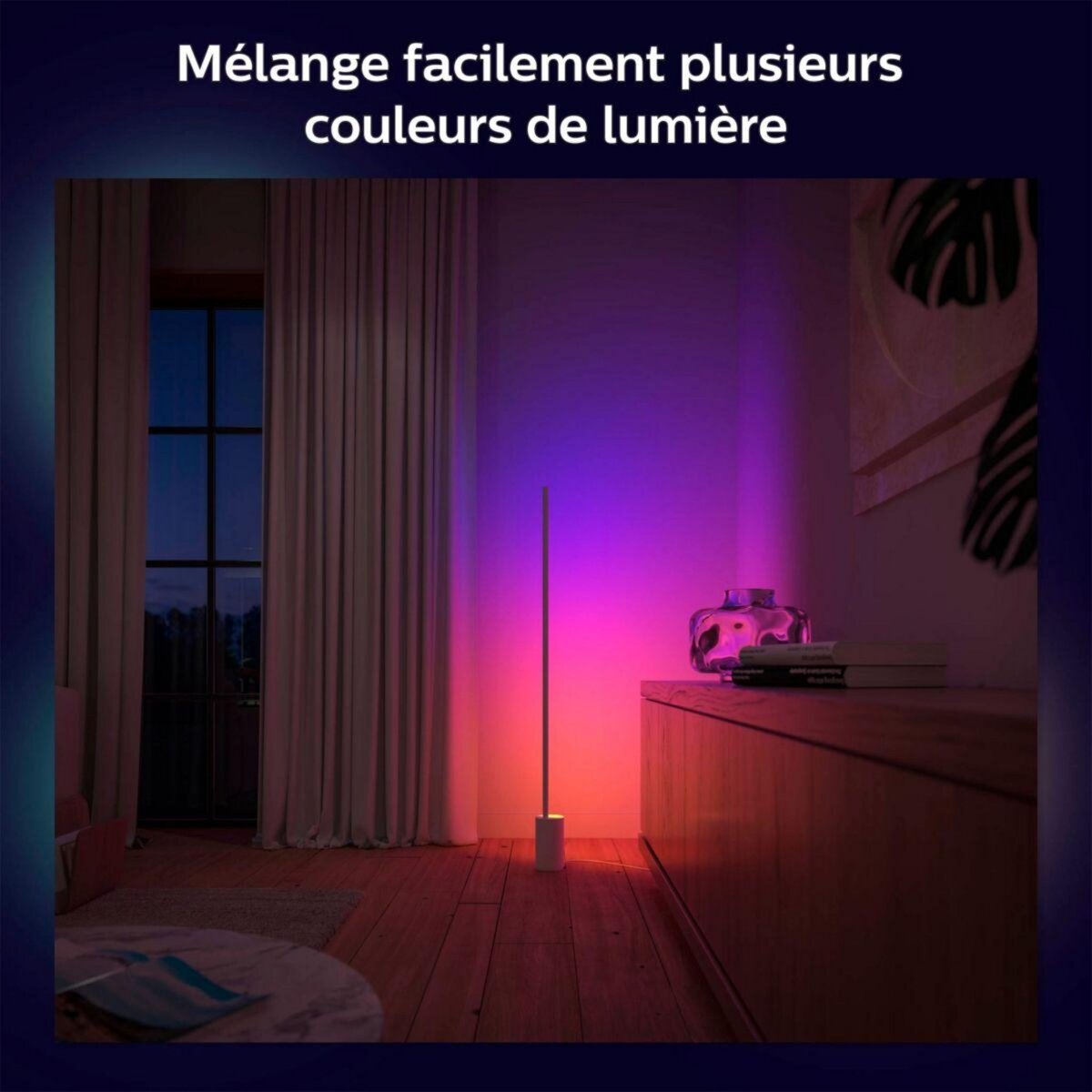 Philips Lampe connectée HUE W&C Gradient Sign blanc