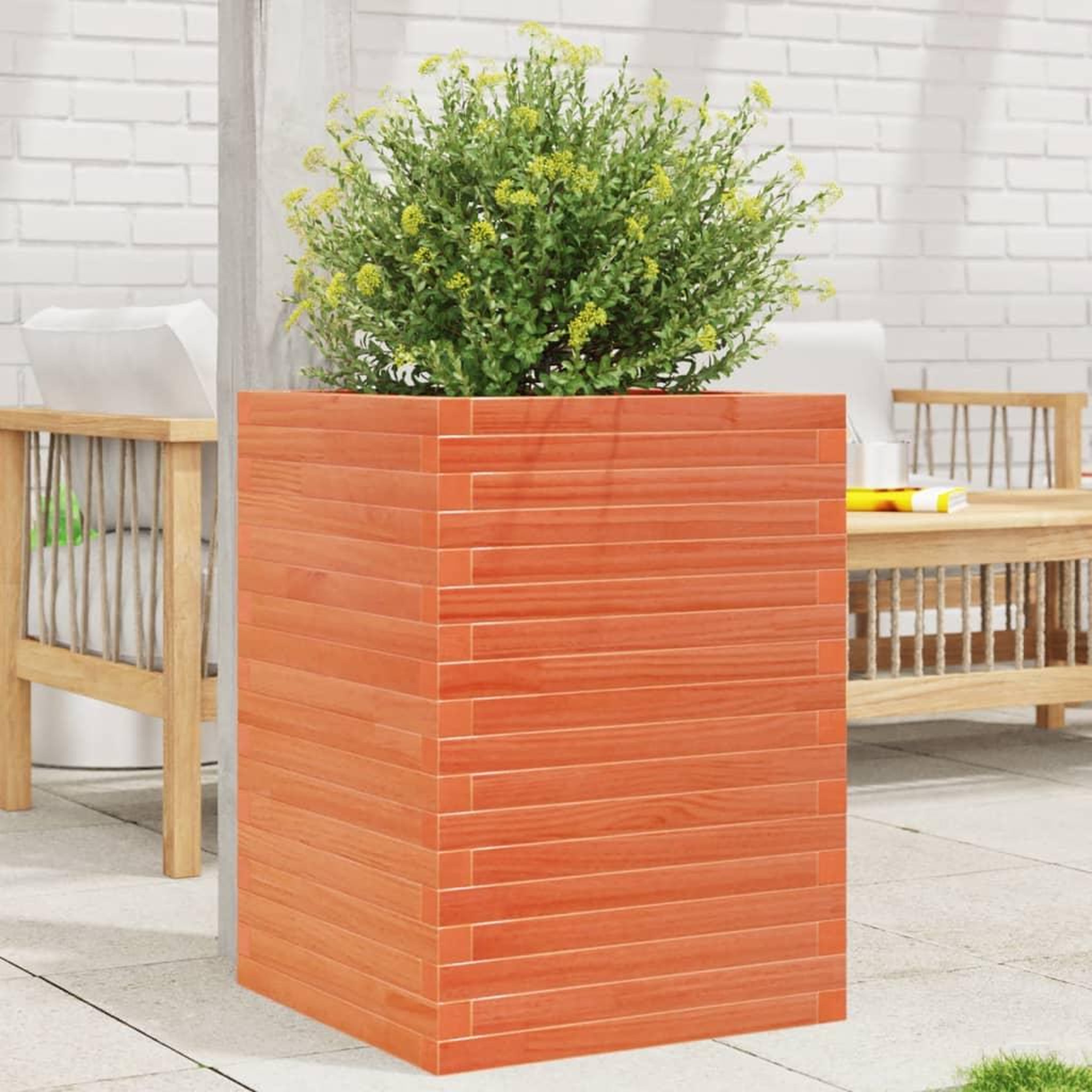 Voir la diapositive 3 : VIDAXL Jardiniere cire marron 50x50x68,5 cm bois de pin massif