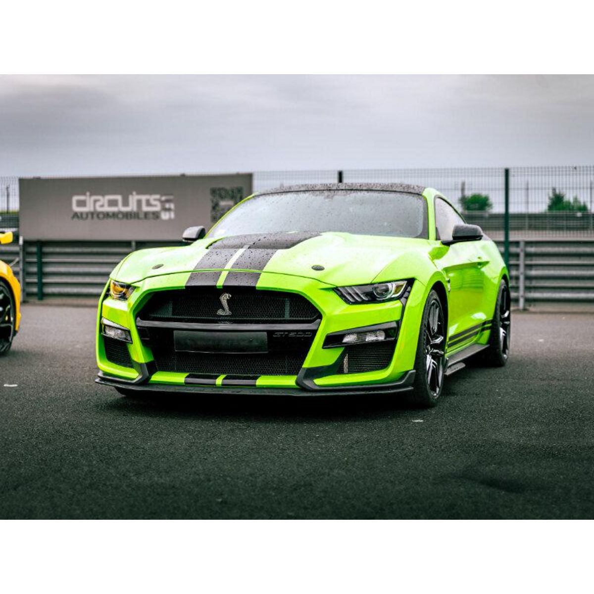 Smartbox Stage de pilotage : 5 tours sur le circuit de Pouilly-en-Auxois en Ford Mustang Shelby GT500 - Coffret Cadeau Sport & Aventure
