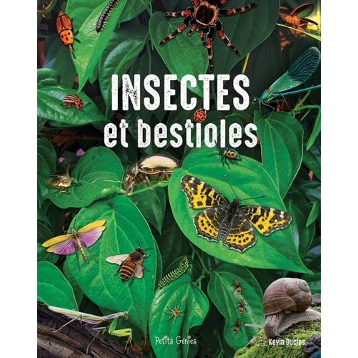 INSECTES ET BESTIOLES, Duclos Kevin