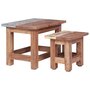 Voir la diapositive 1 : VIDAXL Tables gigognes 2 pcs bois d'acajou massif