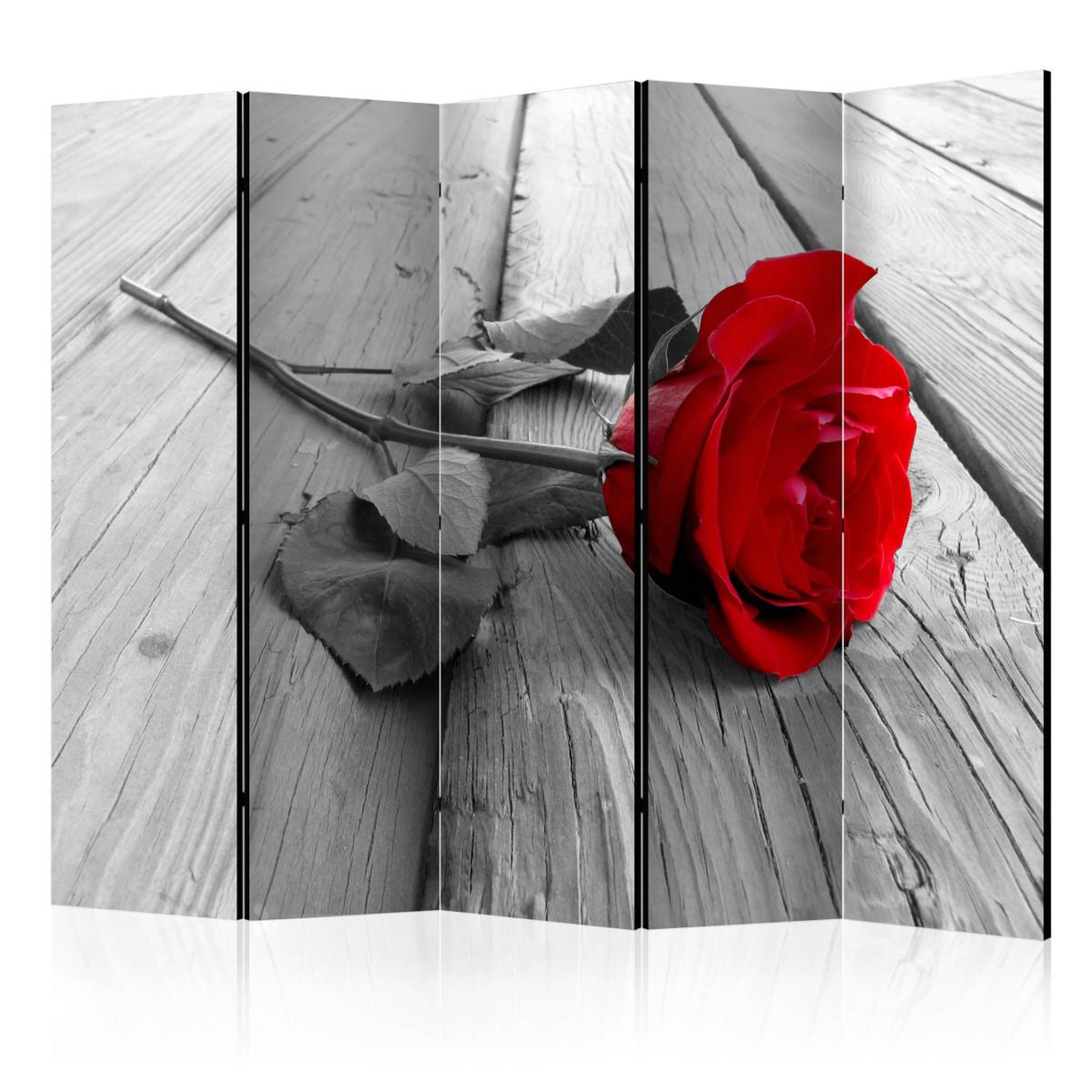 Paris Prix Paravent 5 volets  abandoned rose  172x225cm