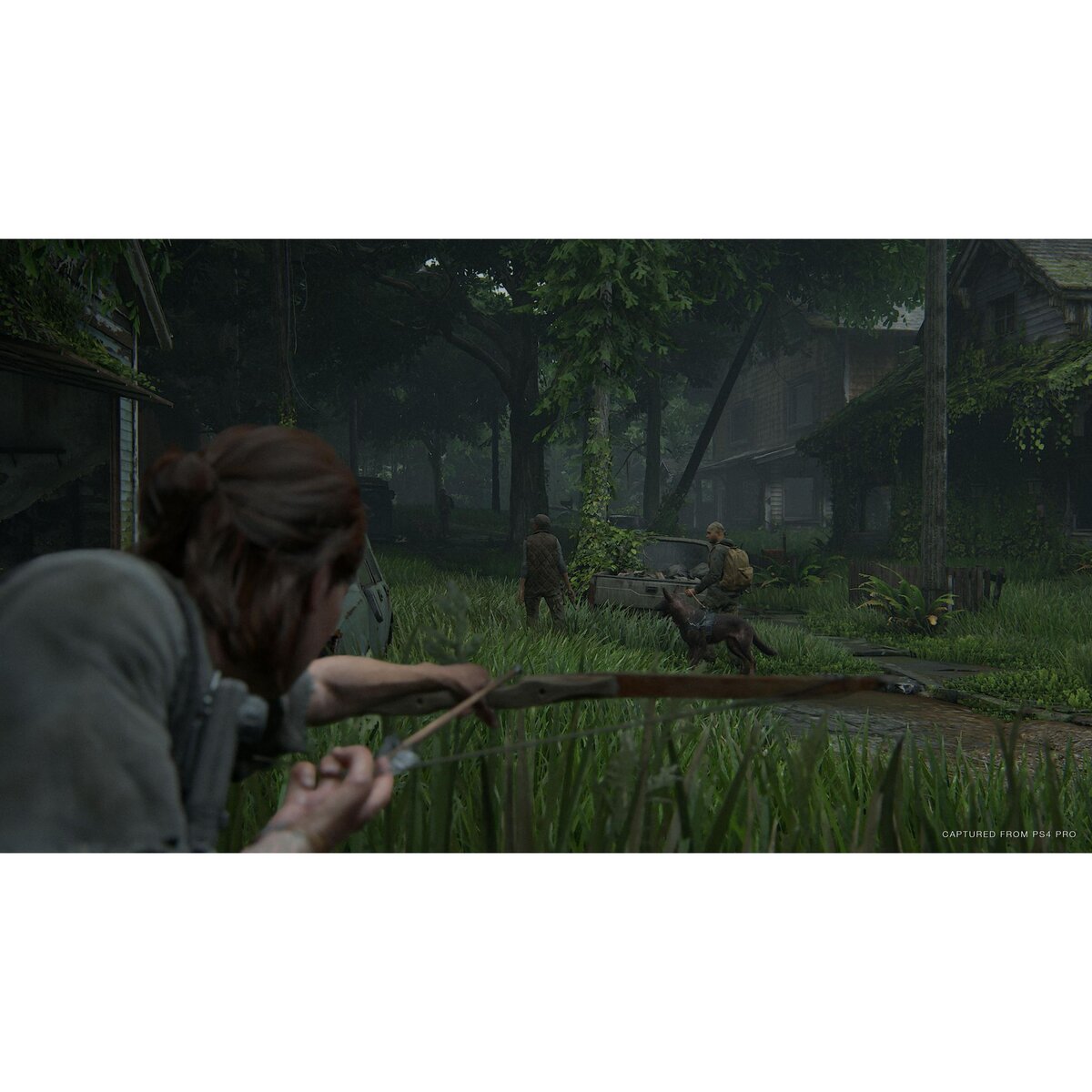 SONY The Last of Us Part II PS4
