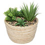 Voir la diapositive 1 : ATMOSPHERA Plante Artificielle  Composition  18cm Naturel & Vert