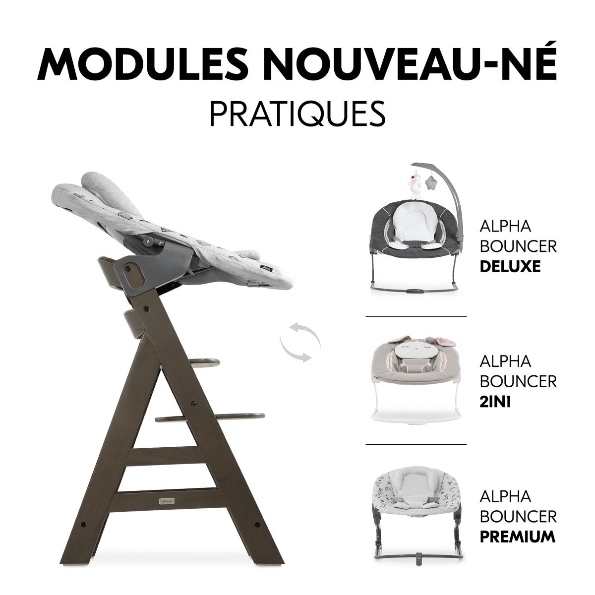 HAUCK Chaise haute en bois Alpha Select gris foncé