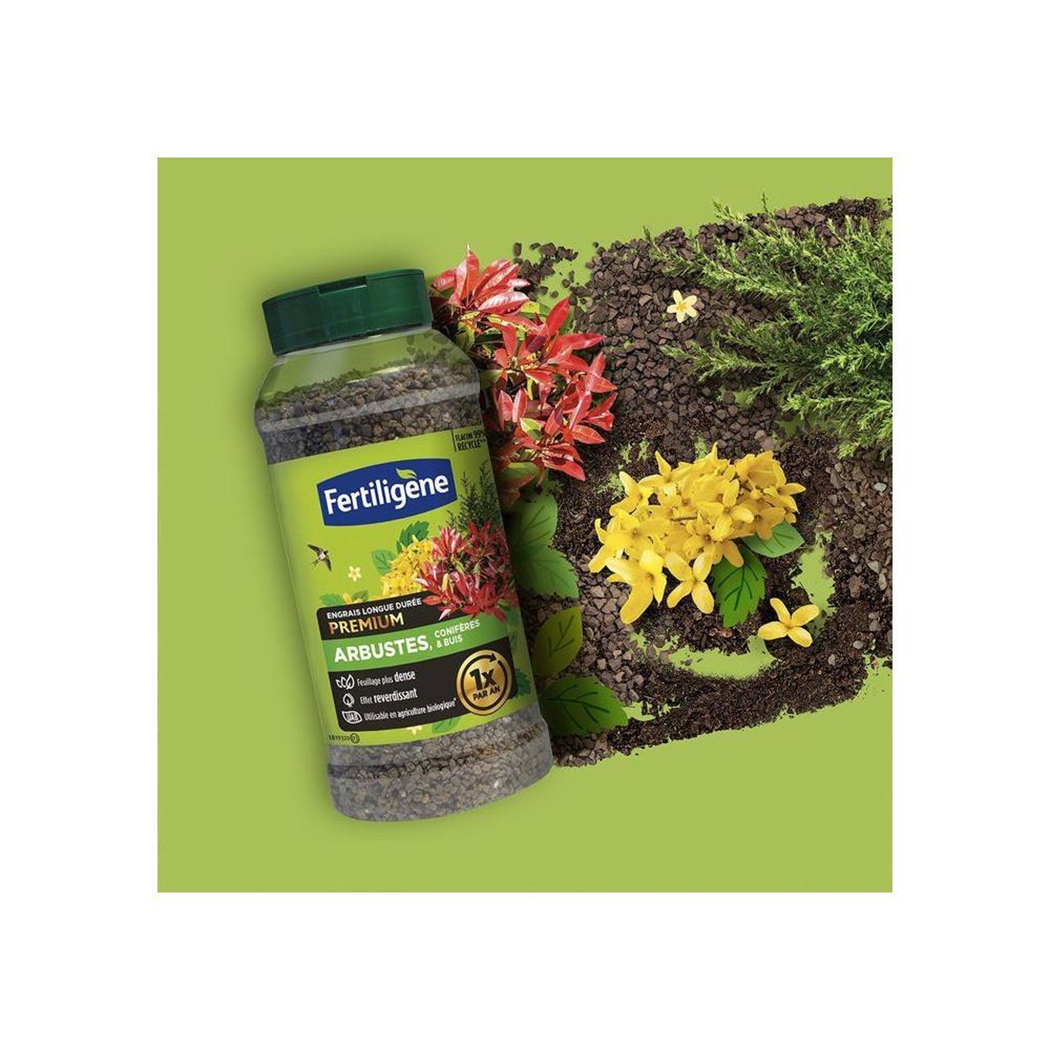 Voir la diapositive 4 : Fertiligene Engrais longue durée fertiligene premium pour arbustes, conifères et buis, granulés foncés 600 g
