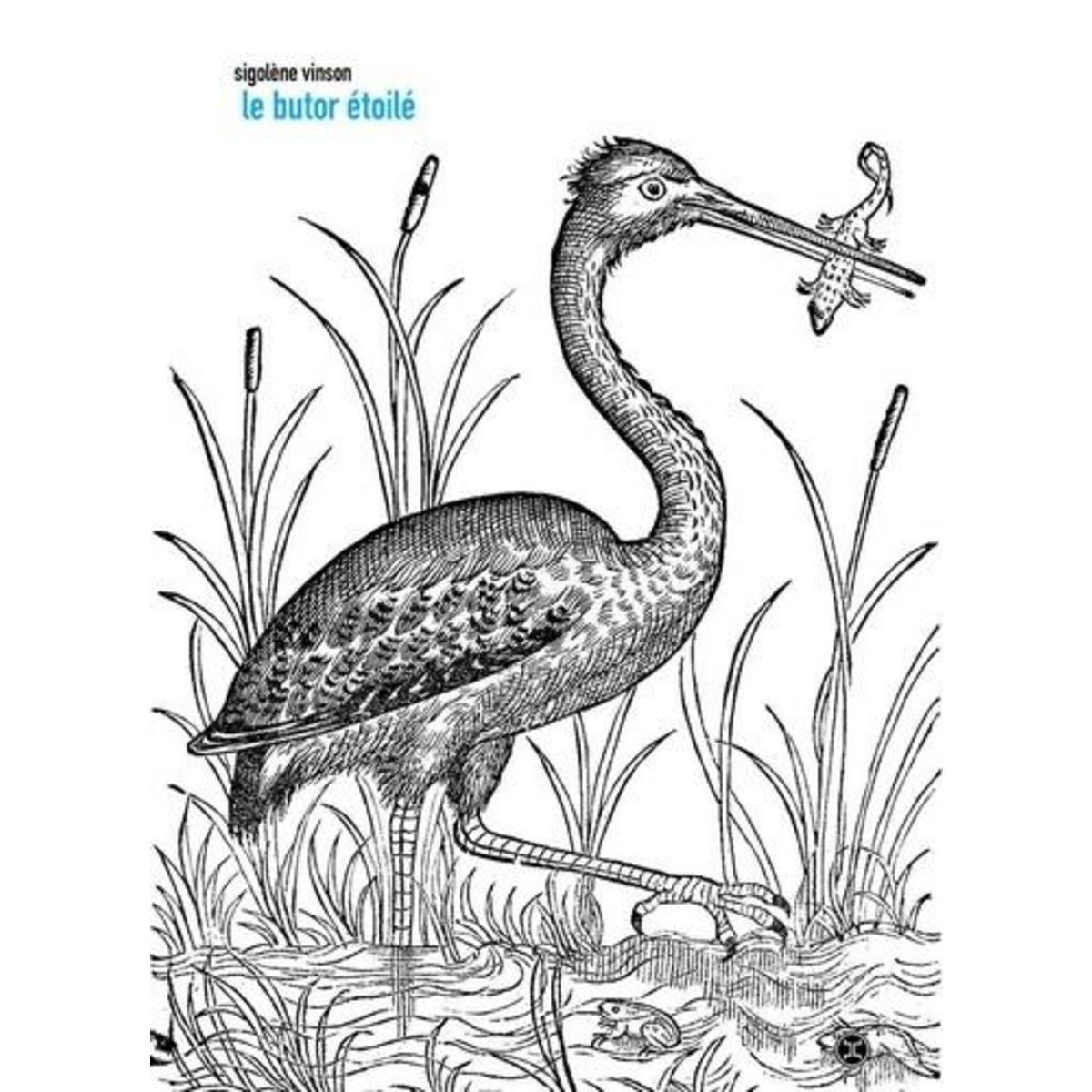 LE BUTOR ETOILE, Vinson Sigolène