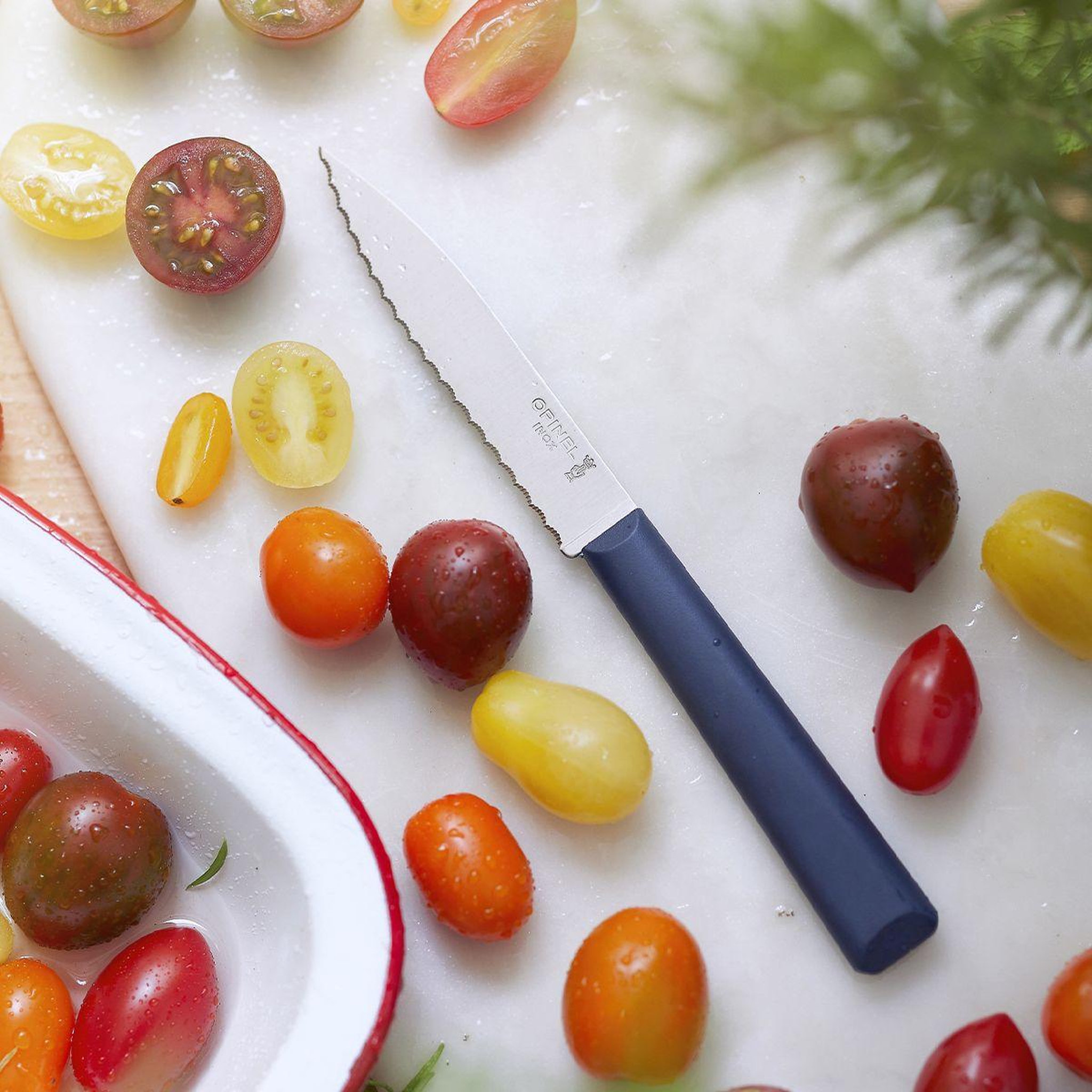 Voir la diapositive 2 : Opinel Couteau N313 crante bleu
