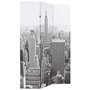 Voir la diapositive 2 : VIDAXL Cloison de separation pliable 120x170 cm New York Noir et blanc