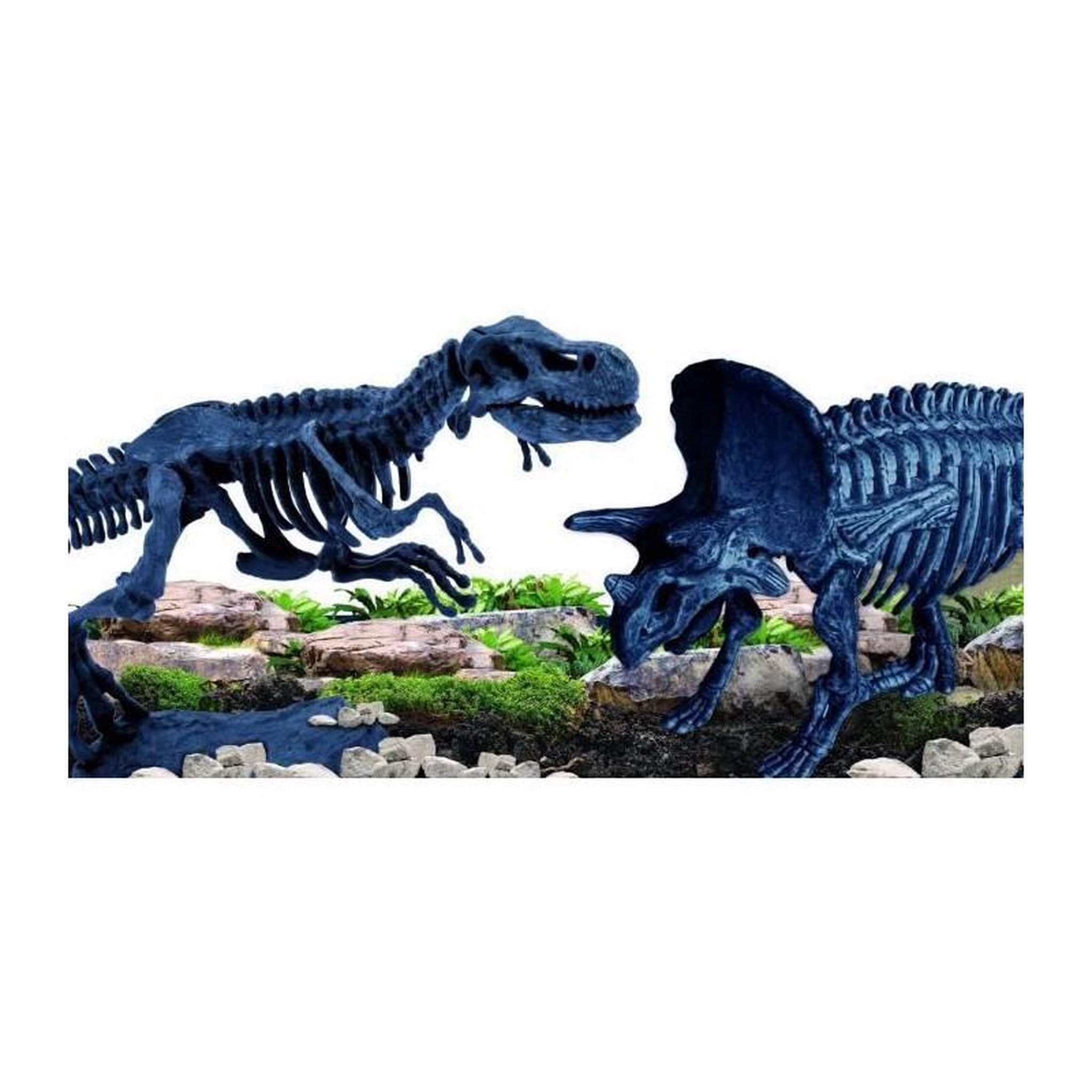 Voir la diapositive 3 : LISCIANI GIOCHI Génius Science - jeu scientifique - la science de la paleonthologie - LISCIANI