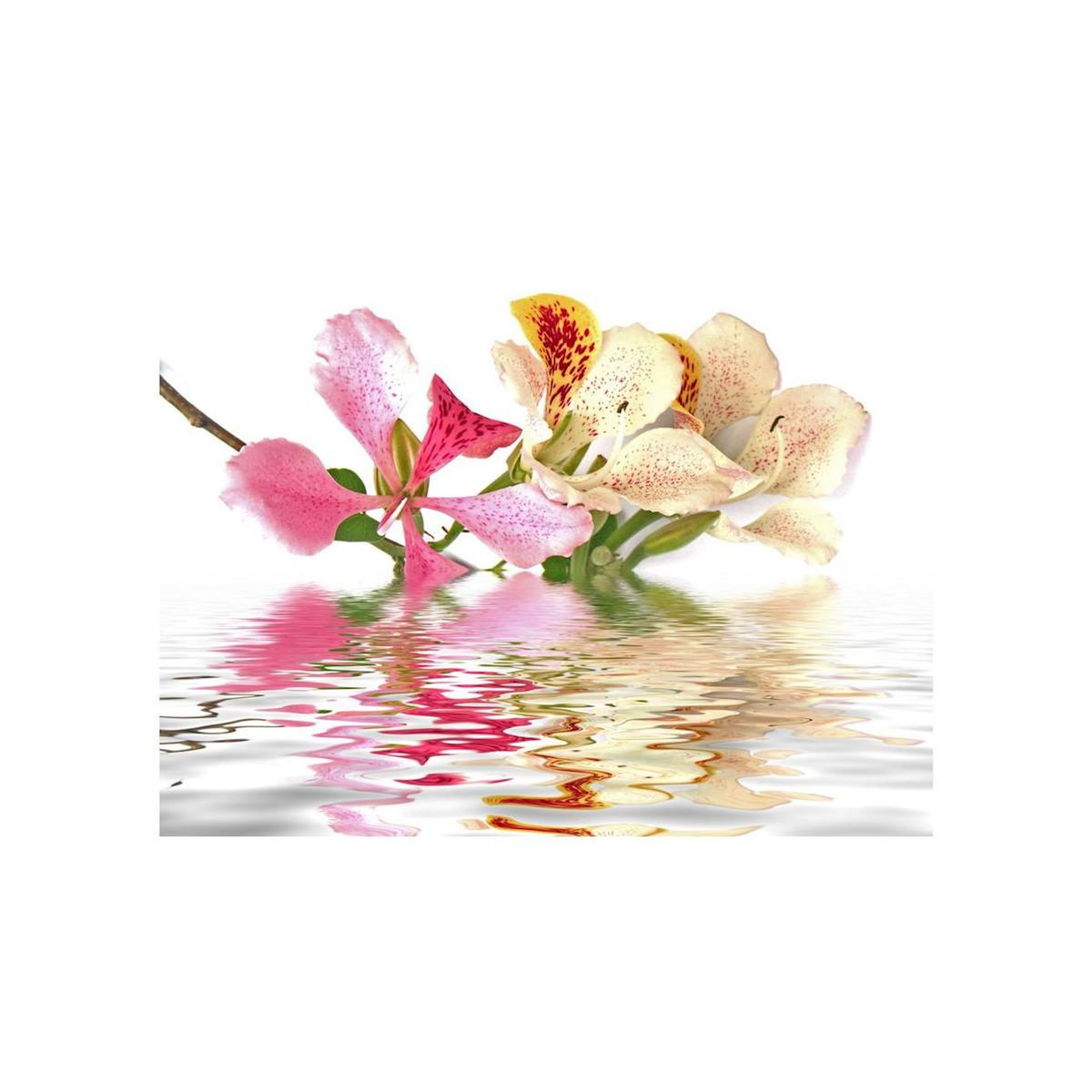 Paris Prix Papier Peint  Fleurs Tropicales Arbre Aux Orchidées Bauhinia