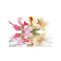 Voir la diapositive 2 : Paris Prix Papier Peint  Fleurs Tropicales Arbre Aux Orchidées Bauhinia