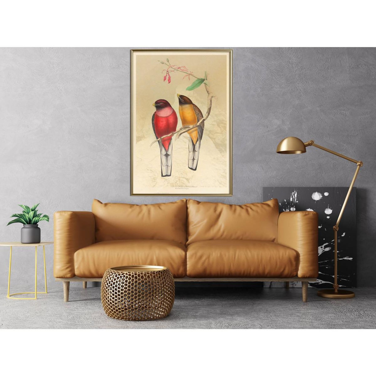 Paris Prix Affiche Murale Encadrée  Ornithologist's Drawings