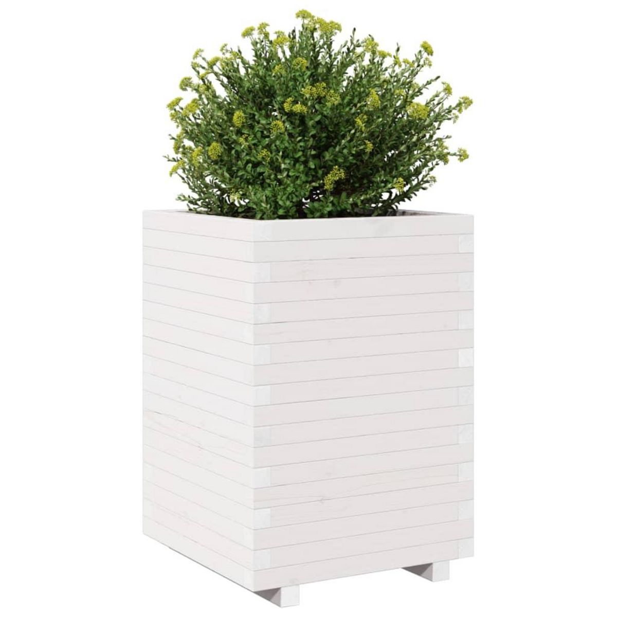 VIDAXL Jardiniere blanc 50x50x72,5 cm bois de pin massif