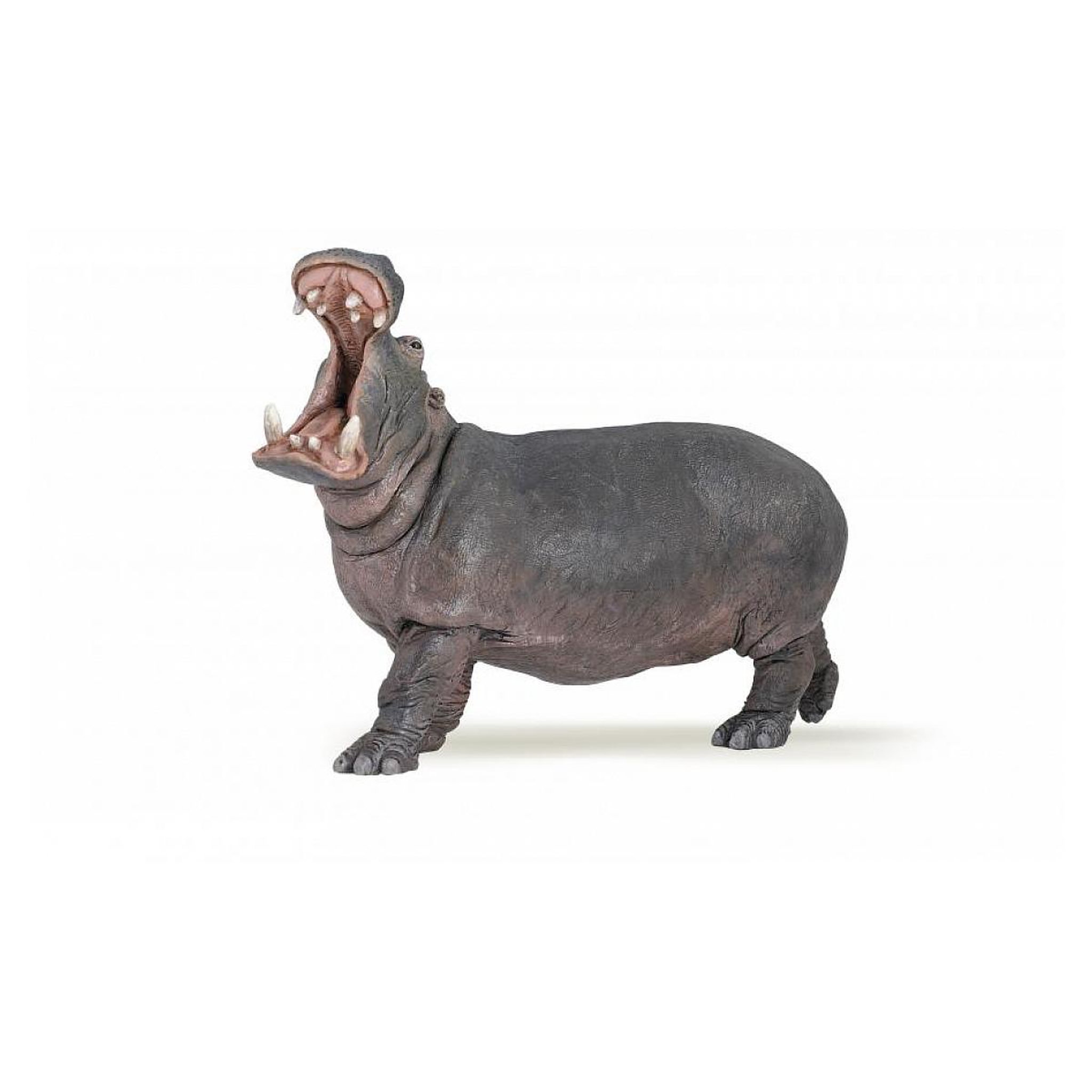 Voir la diapositive 3 : Papo 50051 figurine Hippopotame adulte