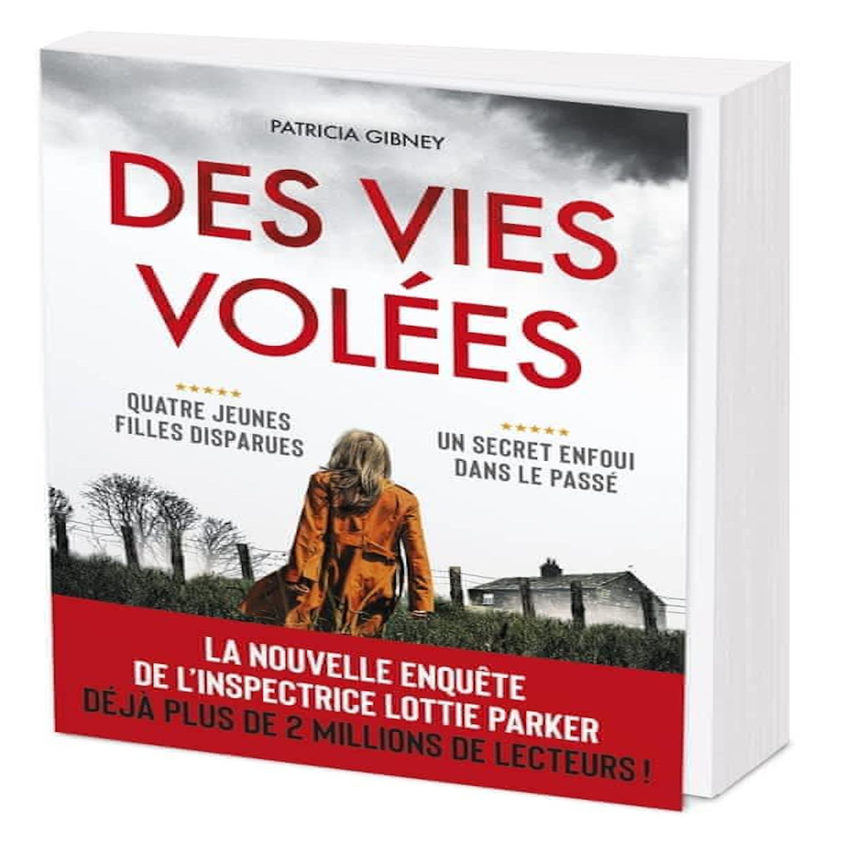 DES VIES VOLEES , Gibney Patricia