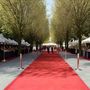 Voir la diapositive 2 : VIDAXL Tapis pour exposition 1 x 12 m rouge