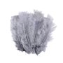 Voir la diapositive 1 : Paris Prix Lot de 35 Plumes Décoratives  Sensa  16cm Gris Perle