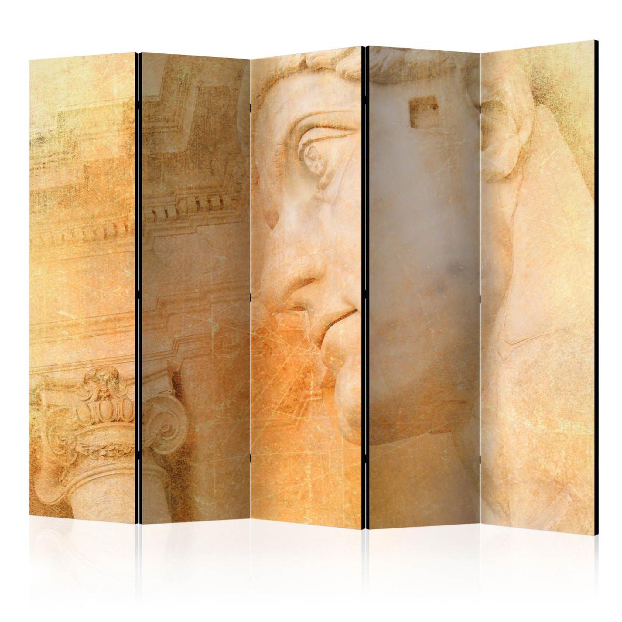 Paris Prix Paravent 5 volets  greek god ii  172x225cm