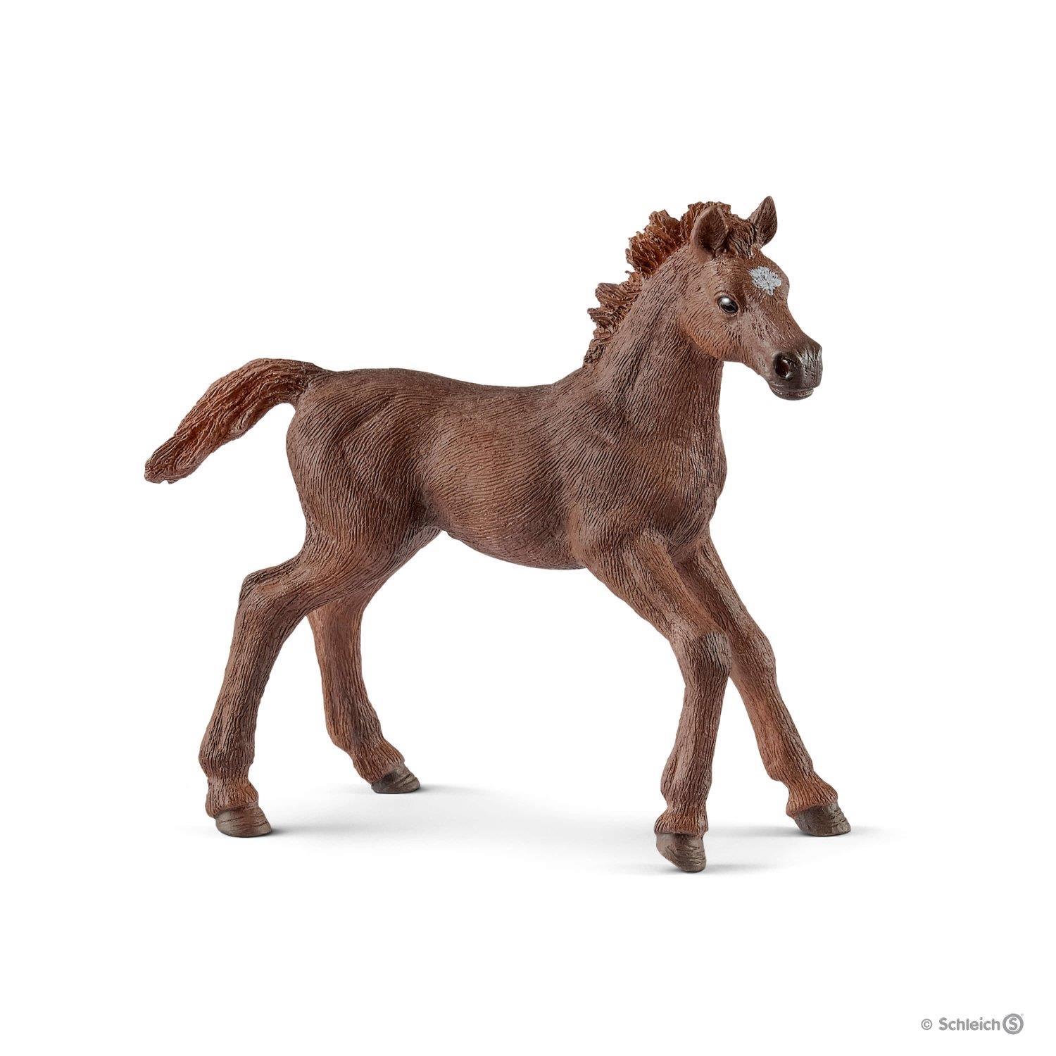 Schleich Wild Life Poulain Pur sang Anglais - vue 8